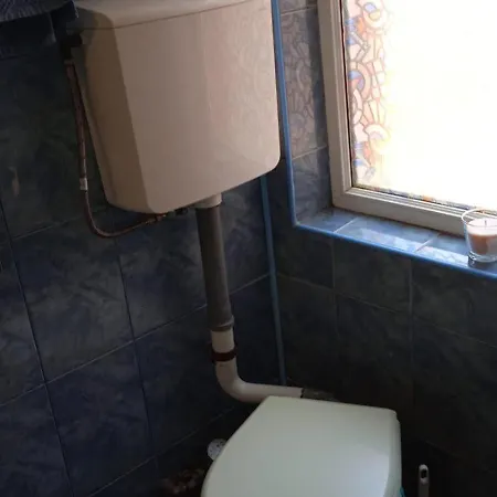 Fain 布加勒斯特