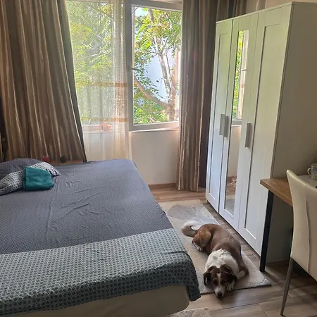 Apartment Fain Bucharest